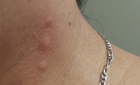  Diagnostico y Capacitación