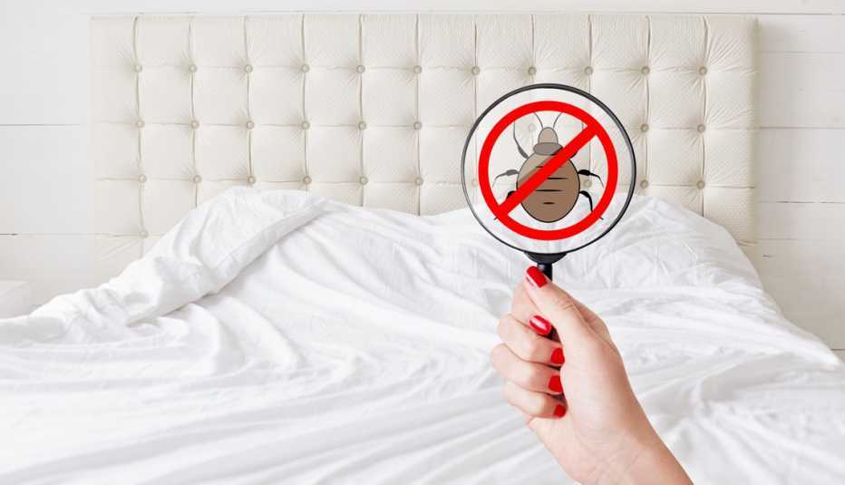 2 ACTIVOS EFICACES Y SEGUROS PARA USO DOMÉSTICO 